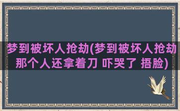 梦到被坏人抢劫(梦到被坏人抢劫那个人还拿着刀 吓哭了 捂脸)